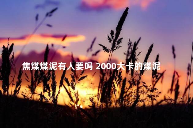 焦煤煤泥有人要吗 2000大卡的煤泥价格